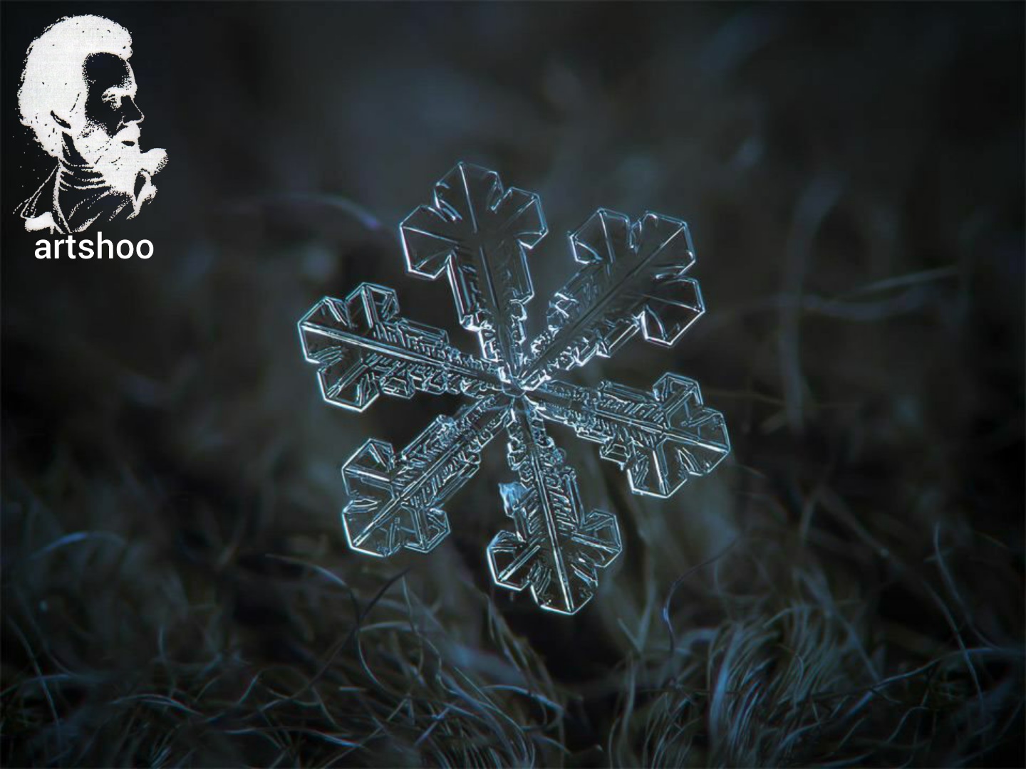 سیاه قلم مدل مداد سفید